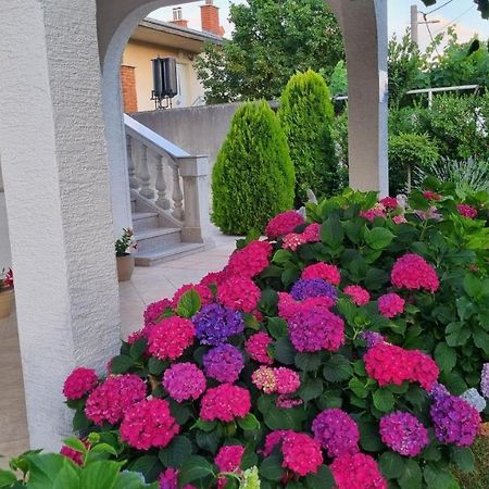 Apartment Nina Novi Vinodolski Εξωτερικό φωτογραφία