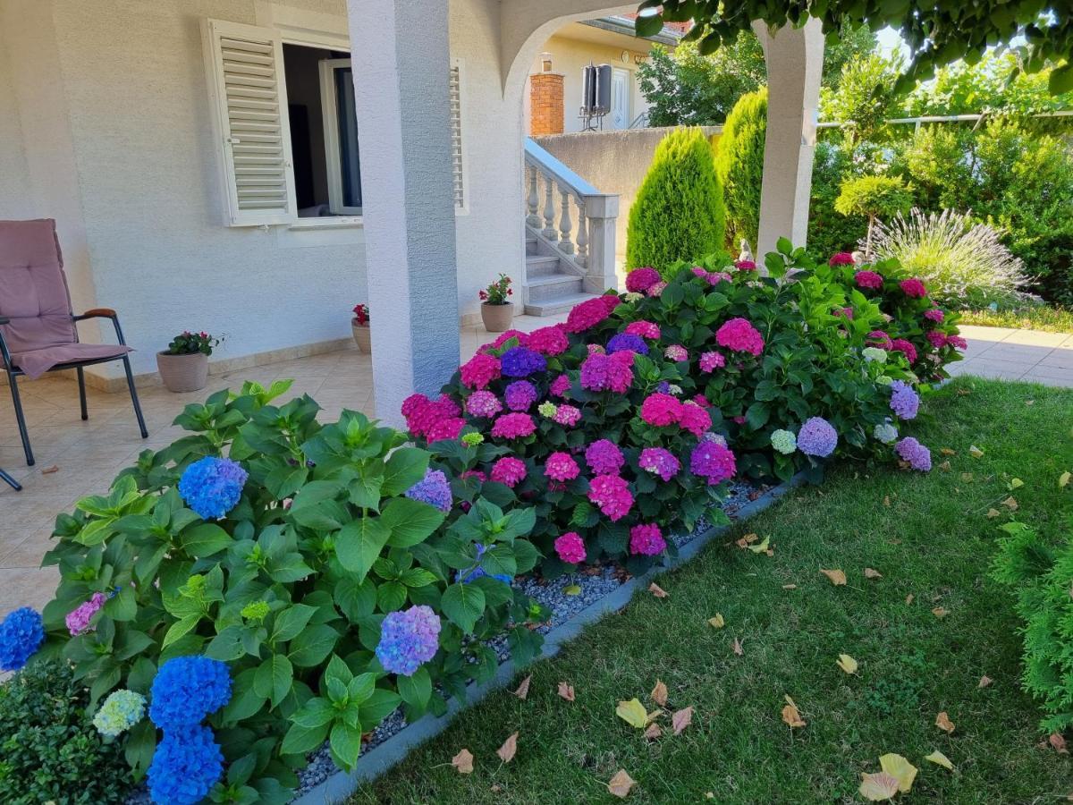 Apartment Nina Novi Vinodolski Εξωτερικό φωτογραφία
